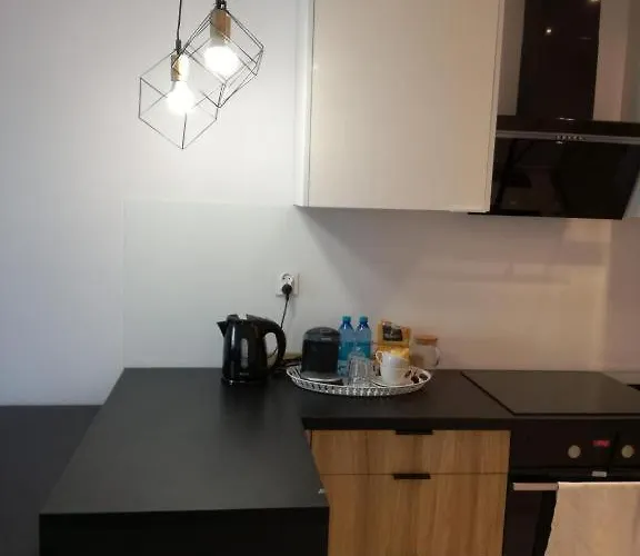 Przy Parku Apartment Radom